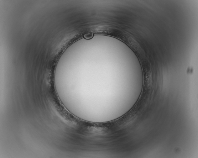 X0000113350255200909291102