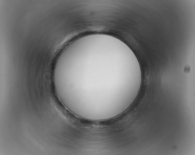 X0000113350256200909291102