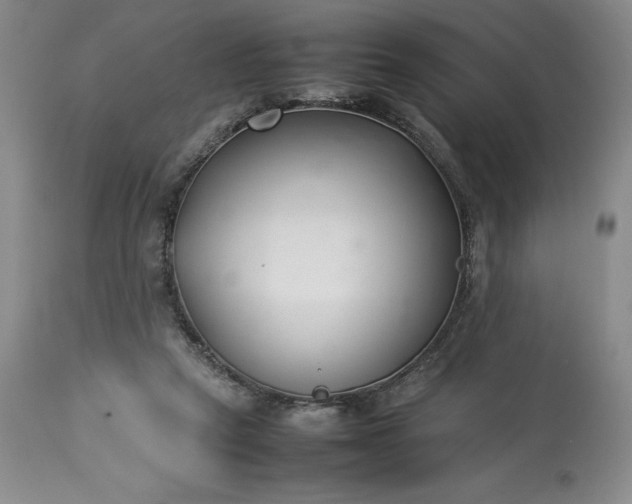 X0000113350257200909291102