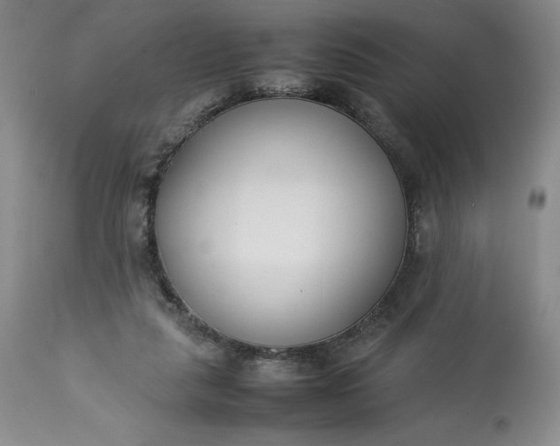 X0000113350259200909291102