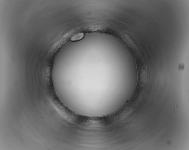 X0000113350260200909291102