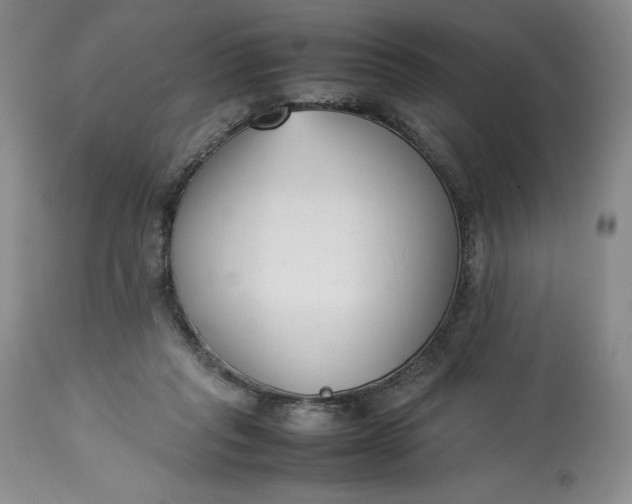 X0000113350261200909291102