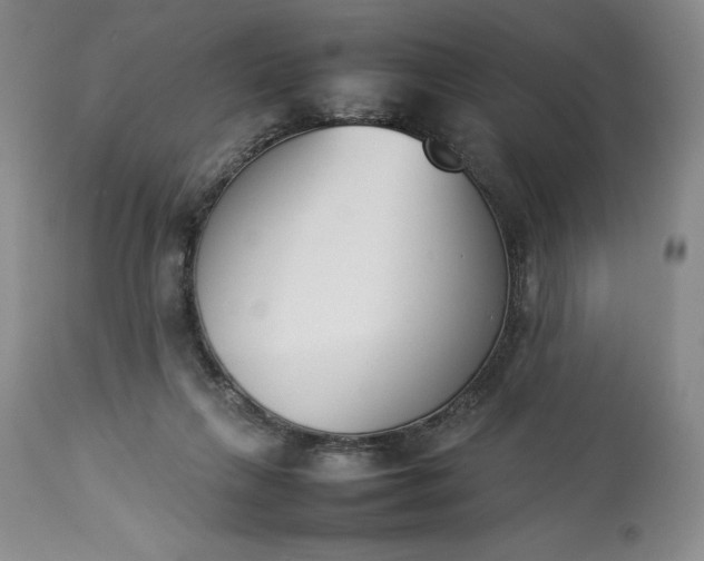 X0000113350263200909291102