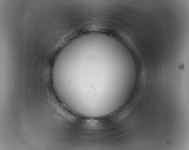 X0000113350265200909291102