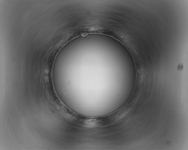 X0000113350269200909291102