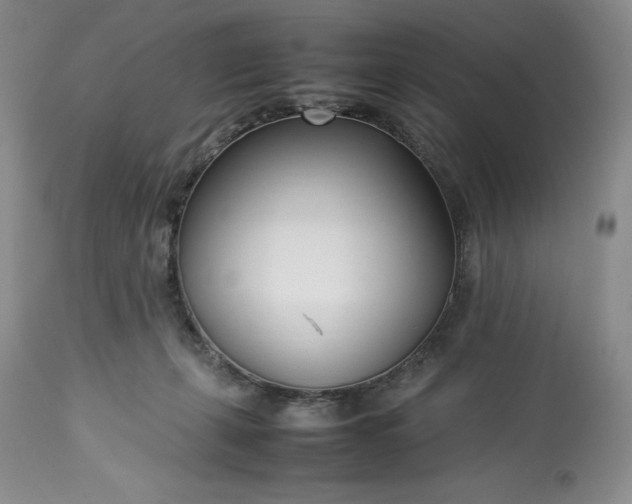 X0000113350271200909291102