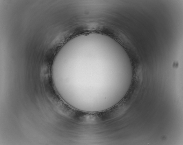 X0000113350272200909291102