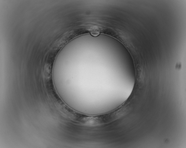 X0000113350273200909291102