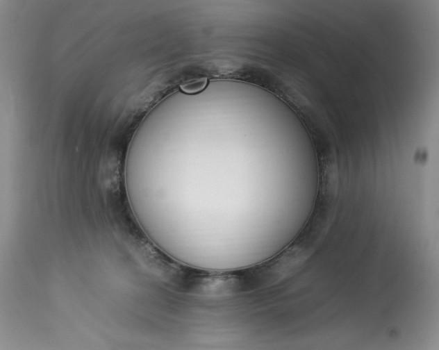 X0000113350274200909291102