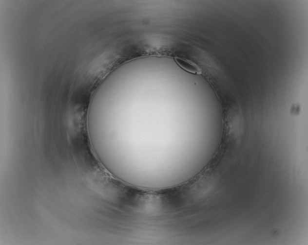 X0000113350276200909291102