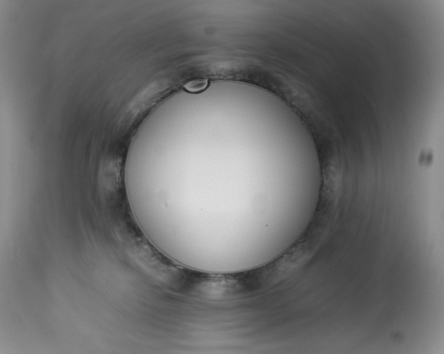 X0000113350278200909291102