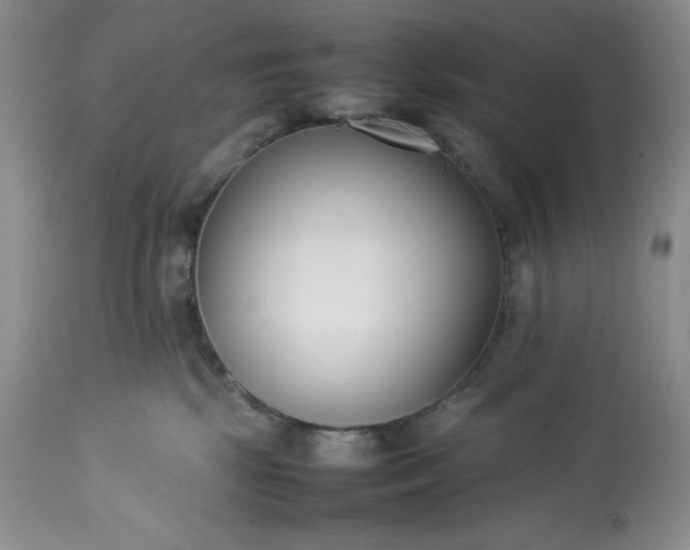 X0000113350281200909291102