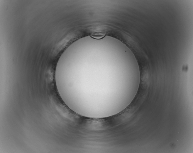 X0000113350282200909291102