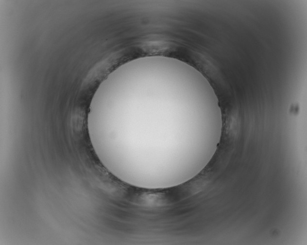 X0000113350283200909291102