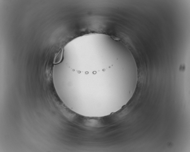 X0000113350285200909291102