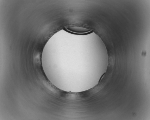 X0000113350286200909291102