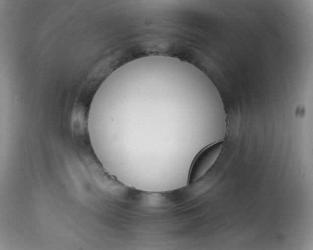 X0000113350287200909291102