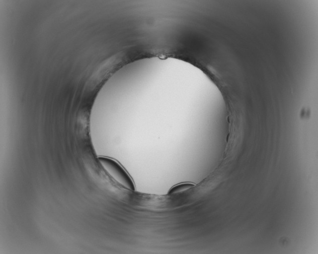 X0000113350288200909291102