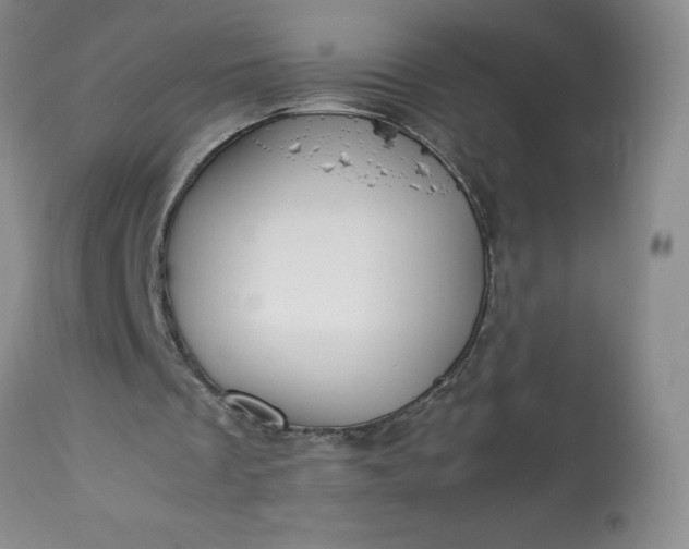 X0000113350289200909291102