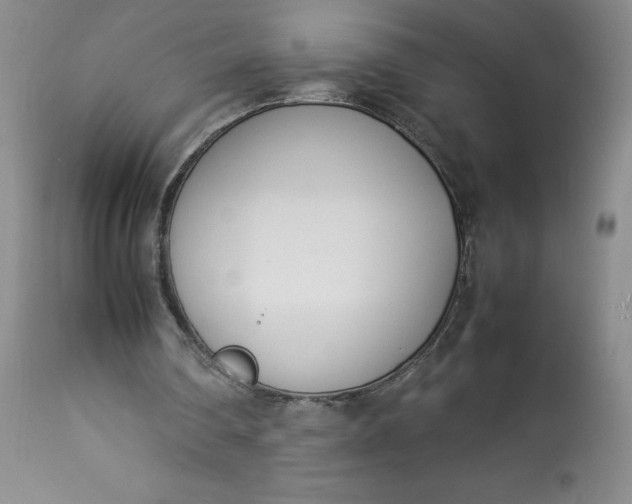 X0000113350290200909291102