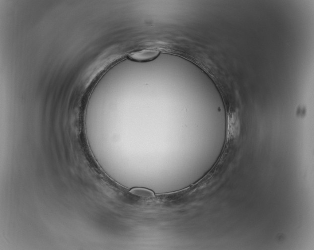 X0000113350291200909291102