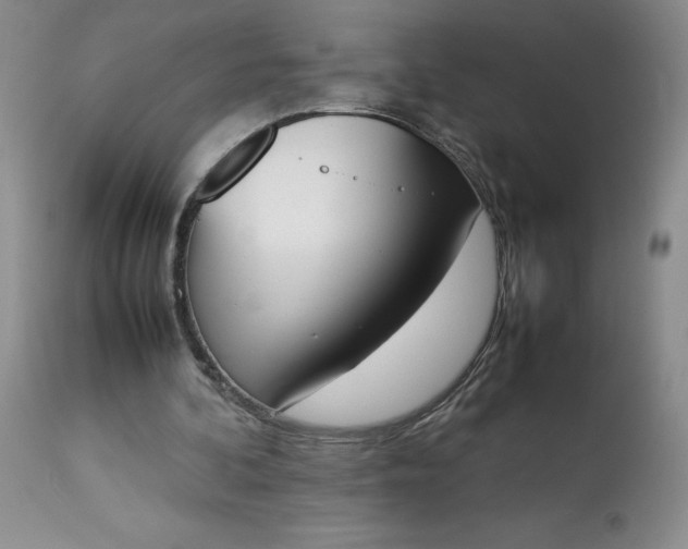 X0000113350292200909291102