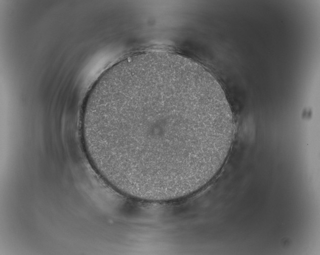 X0000113350293200909291102