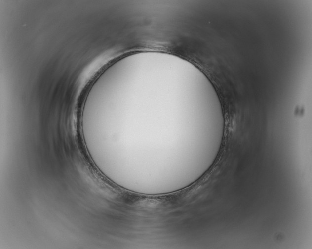 X0000113350294200909291102