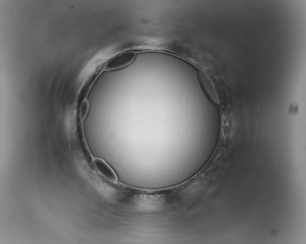 X0000113350296200909291102