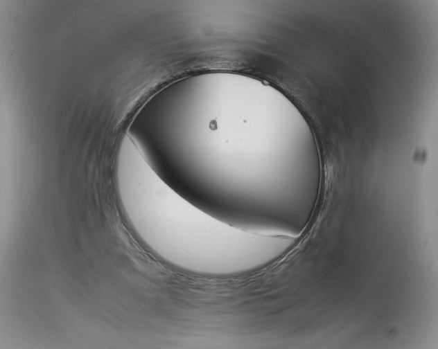 X0000113350297200909291102