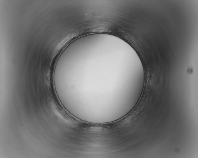 X0000113350298200909291102