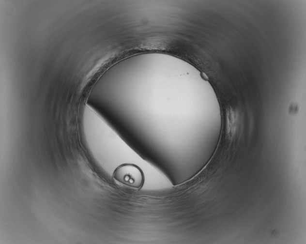 X0000113350300200909291102