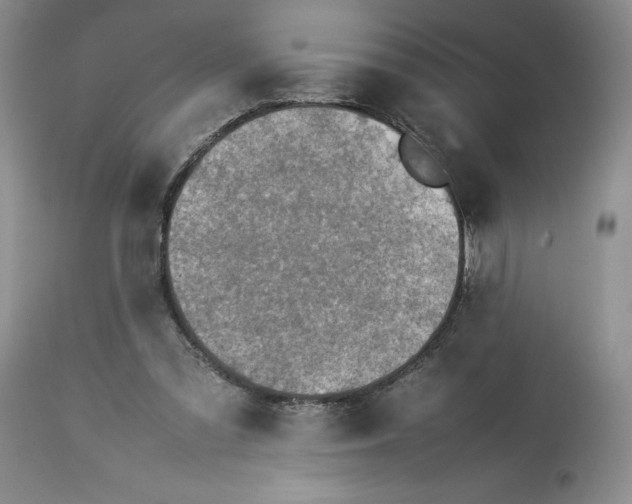 X0000113350301200909291102