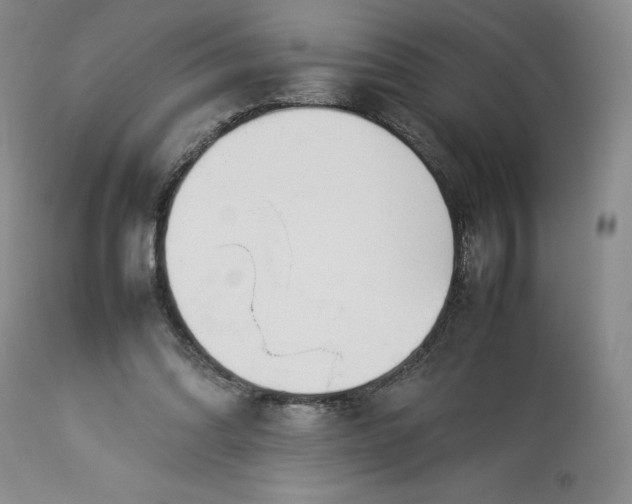 X0000113350302200909291102