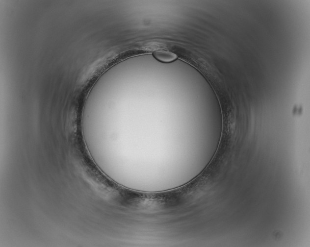 X0000113350303200909291102