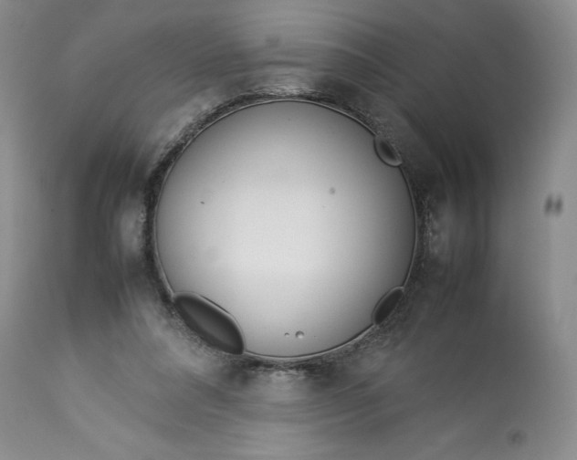 X0000113350304200909291102