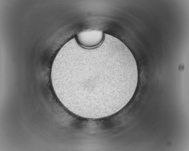 X0000113350305200909291102