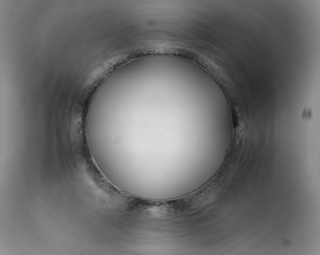 X0000113350306200909291102