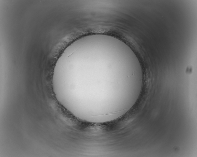 X0000113350307200909291101