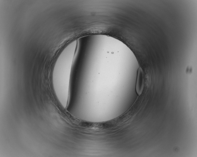 X0000113350308200909291101