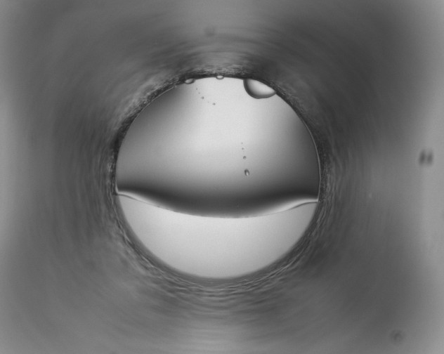 X0000113350309200909291101