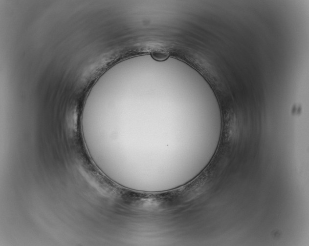 X0000113350310200909291101