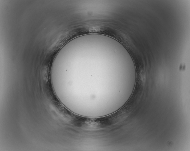 X0000113350311200909291101