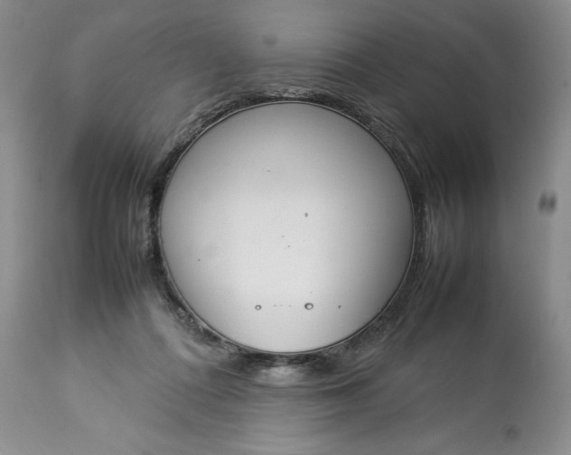 X0000113350312200909291101