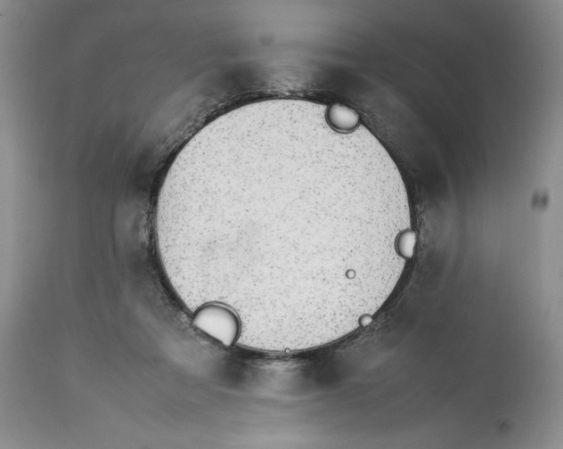 X0000113350313200909291101