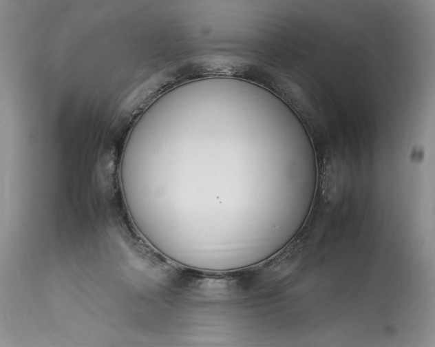 X0000113350314200909291101