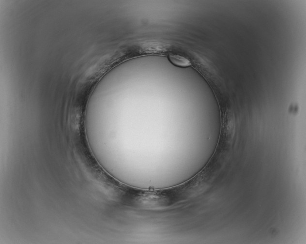 X0000113350315200909291101