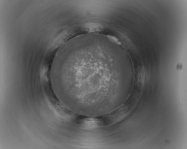 X0000113350316200909291101