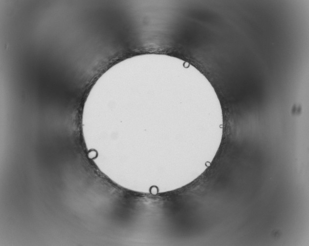 X0000113350317200909291101