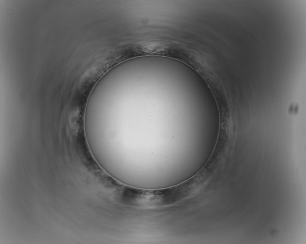 X0000113350319200909291101